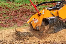 Best Lawn Drainage Solutions  in Holley, NY