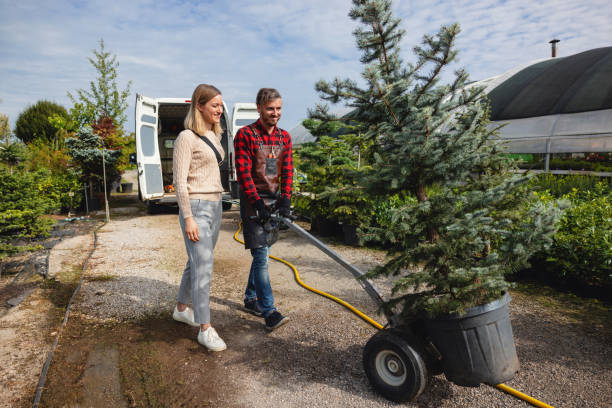 Lawn Maintenance Plans in Holley, NY